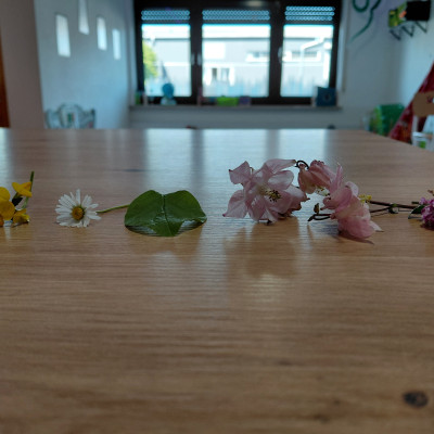 unsere Forschungsobjekte